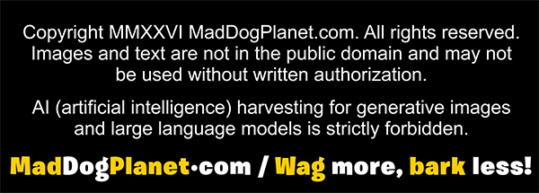 MadDogPlanet.com / Respect, Integrity, Trustworthy and No foul language.