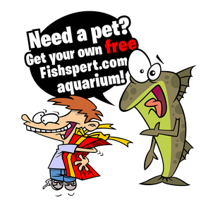 Follow me to Fishspert.com for free aquarium for your mobile